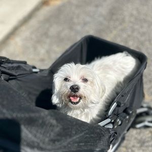 Be sure to shop my mom’s amazing closet !! 🔥